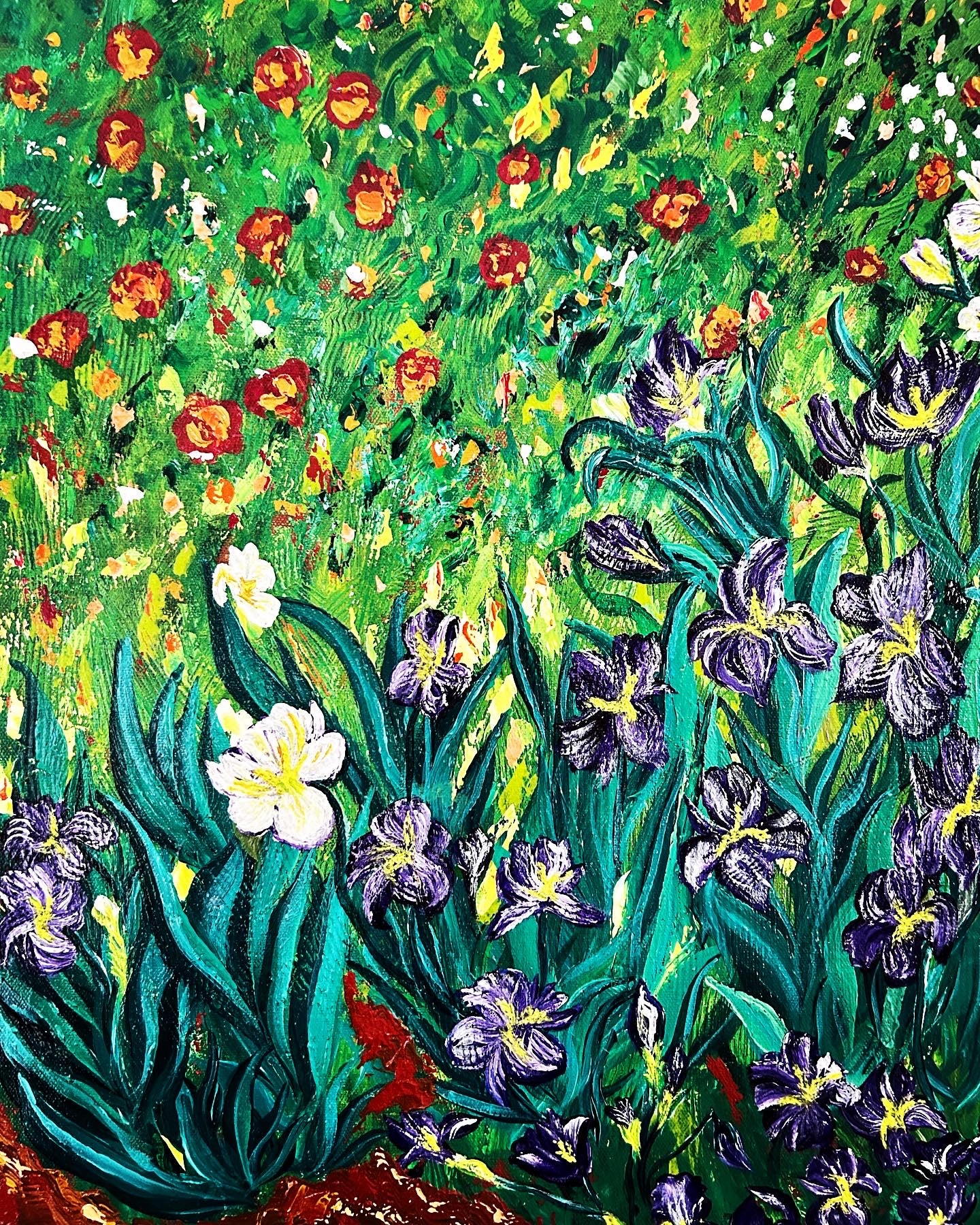 Iris Bloom