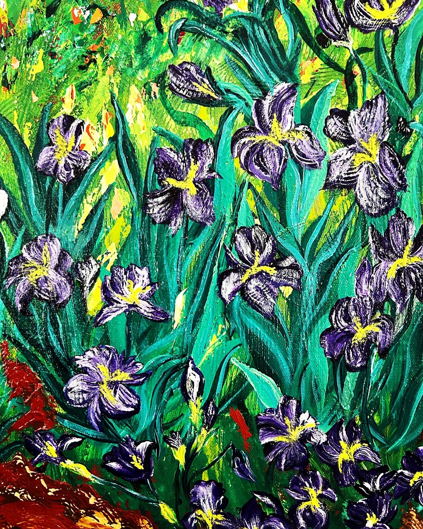 Iris Bloom