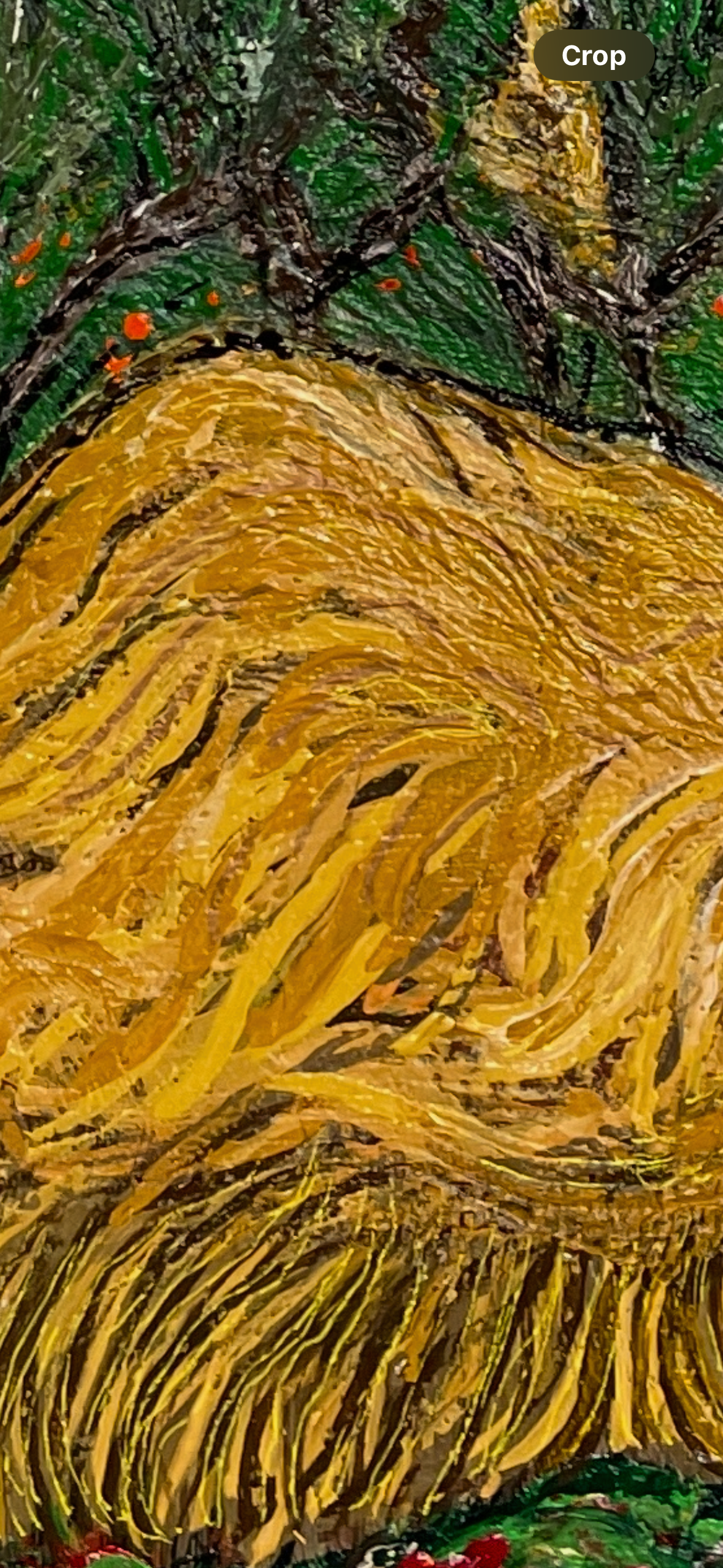 Van Gogh inspired spruces