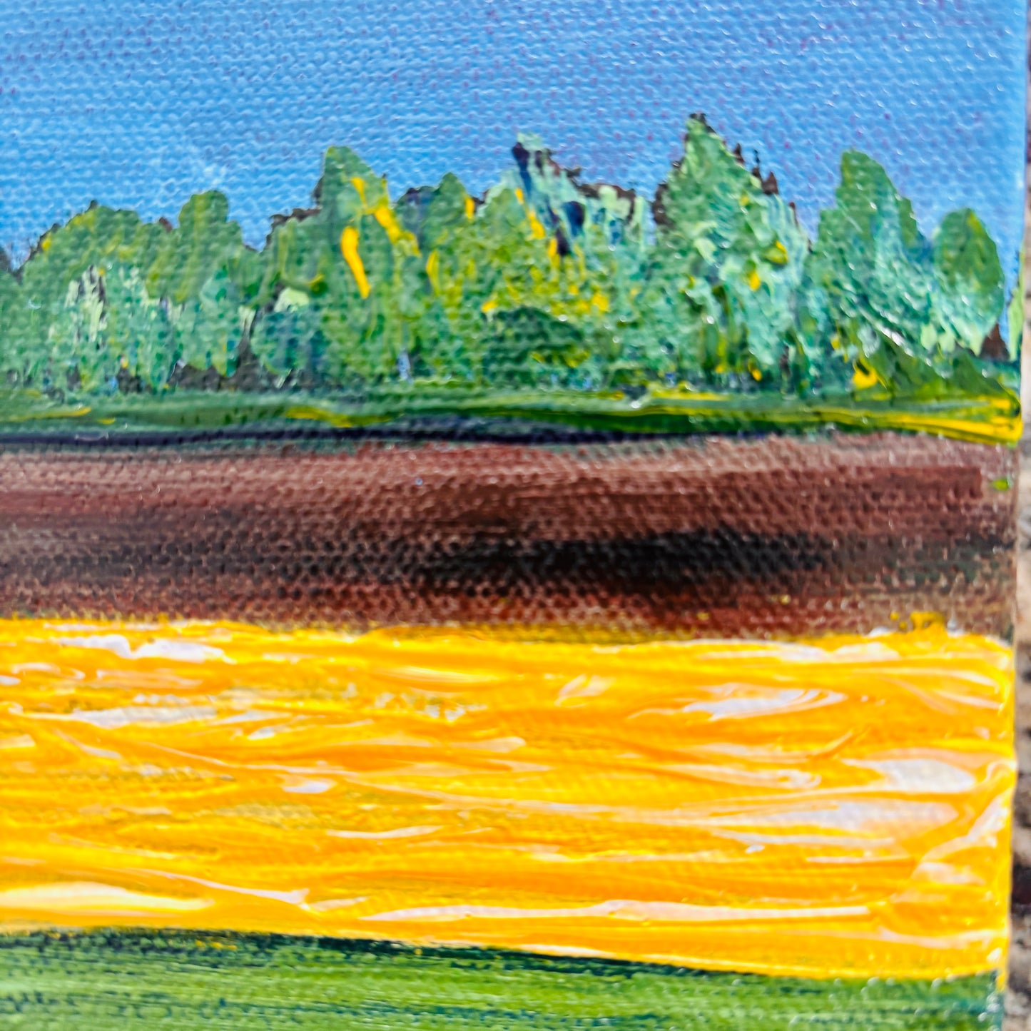 Rockyview summers, 12x12” original artwork