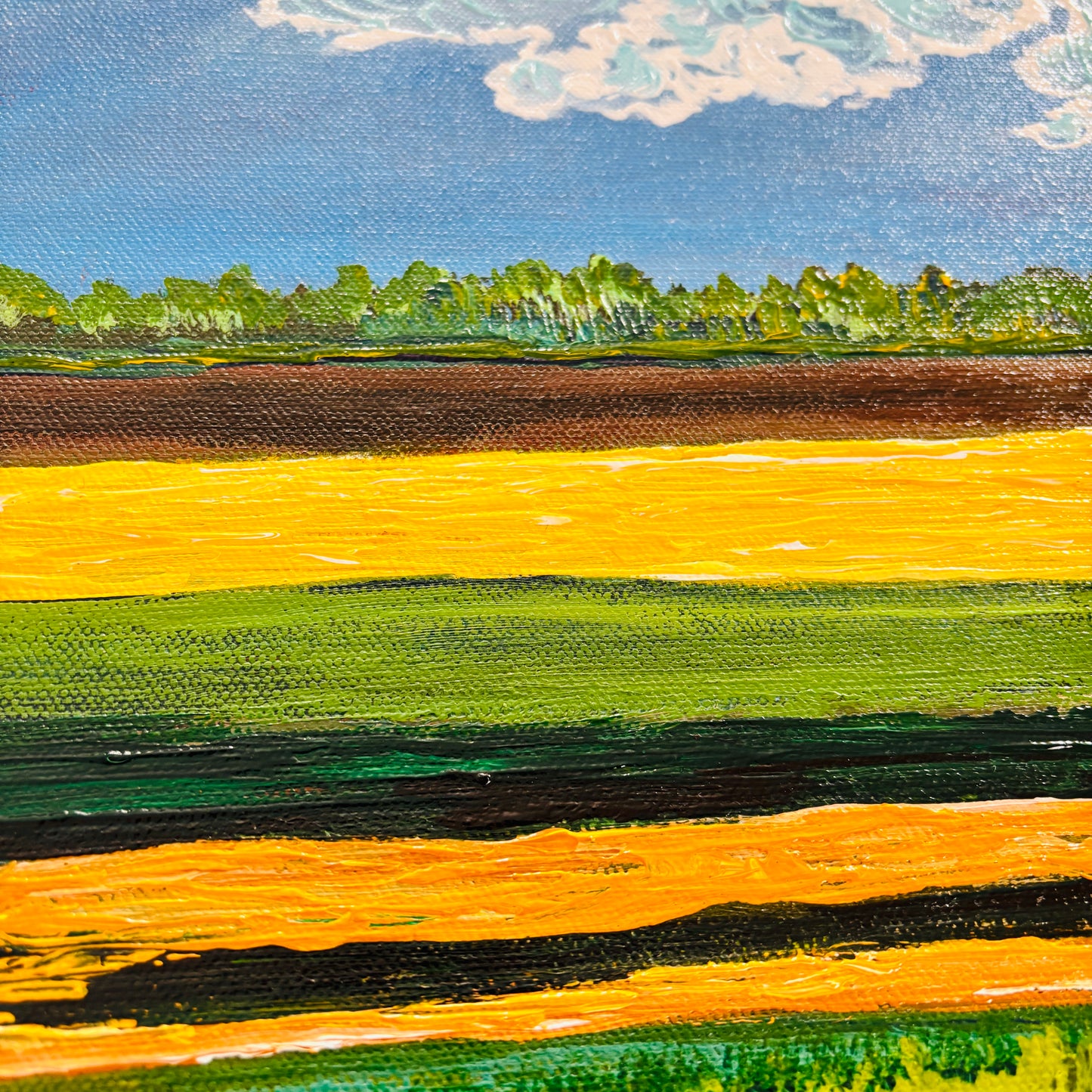 Rockyview summers, 12x12” original artwork
